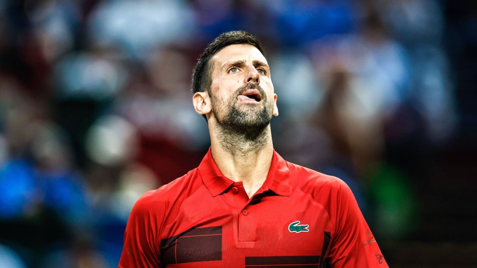 Djokovic still competitive says Berdych amid retirement rumours